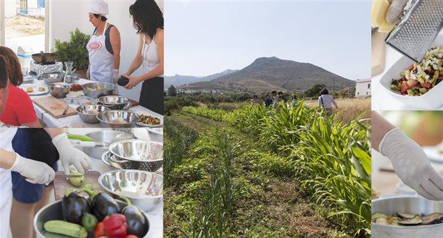 Cooking Classes in Naxos