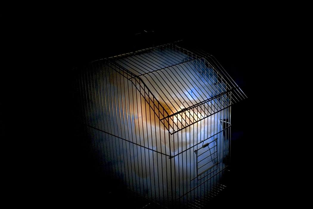 Περιοδική εκθέση “Κυκλαδικά Στιγμιότυπα” και εικαστική εγκατάσταση σύγχρονης τέχνης “(l)imited souls” του Ιωάννη Μιχαλούδη στον Πύργο Crispi (Γλέζου) στη Χώρα Νάξου